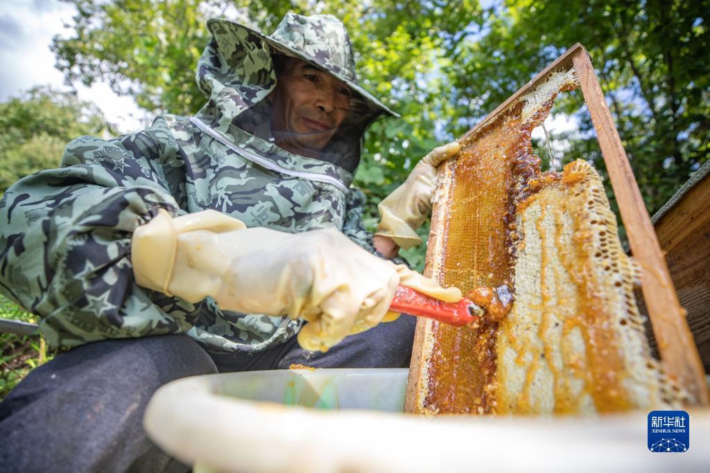俄罗斯254娱乐